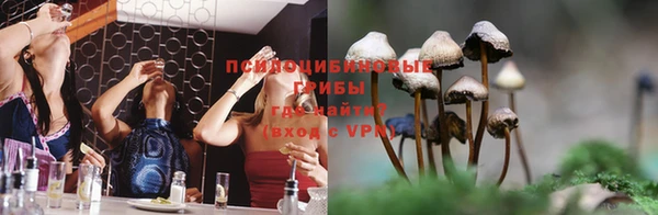 2c-b Кукмор