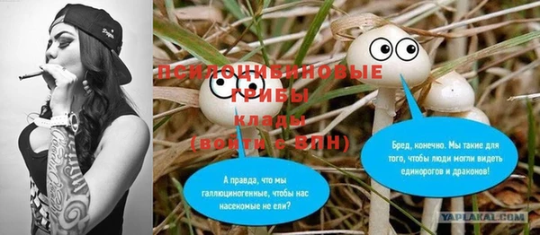 a pvp Кулебаки