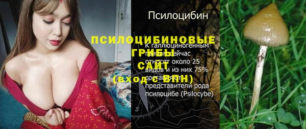2c-b Кукмор
